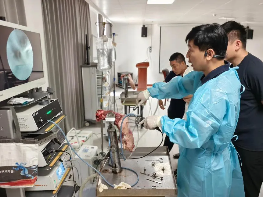 0643bdfd-c3ef-41ee-8b1f-549973bb6b8f