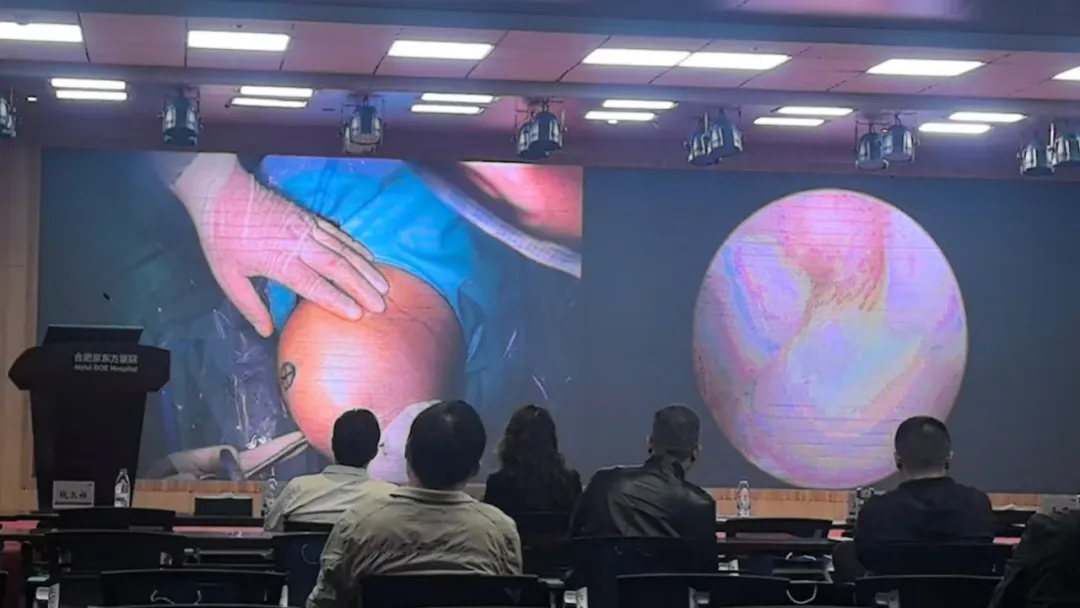 5ba7fe4d-36aa-43b8-aed0-ee14c533ce47