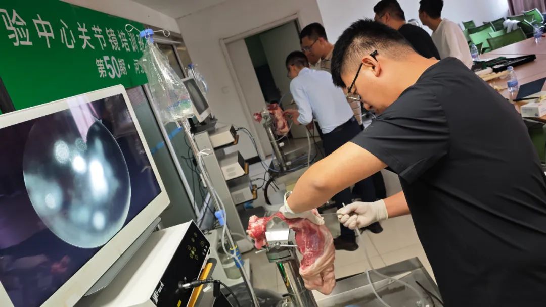 微信图片_20250811103227_283